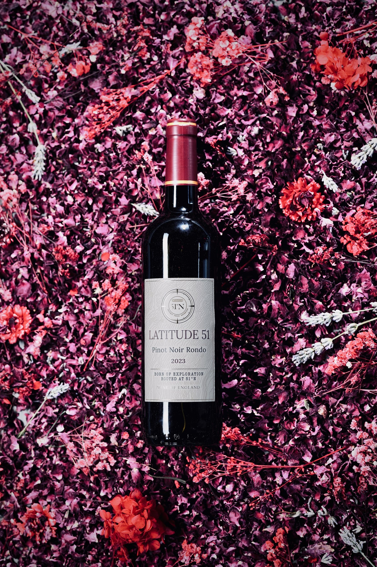 2023 Pinot Noir Rondo