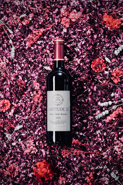 2023 Pinot Noir Rondo