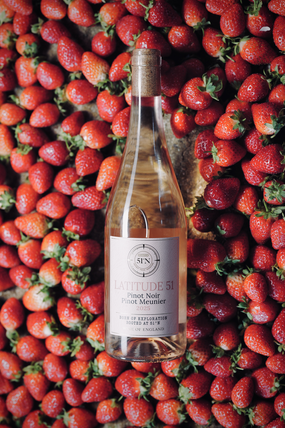 2025 Rosé